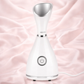 Vapeur Faciale